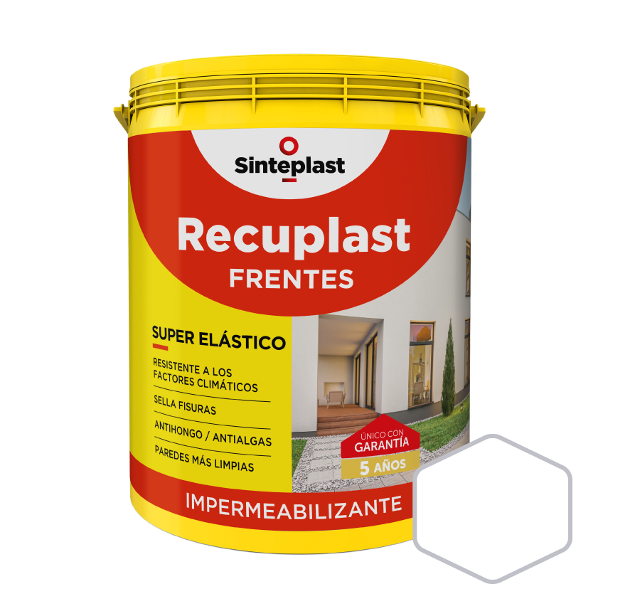 Pintura Blanca 10 Litros